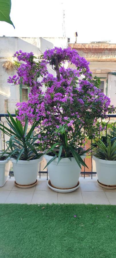 Giambattista House Bari Hotell Eksteriør bilde